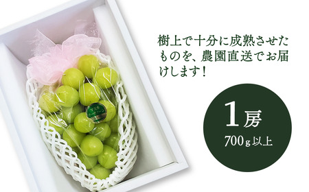 フンベルティ 土曜日発送で希望価格に落とします。13500 しょっぱかっ