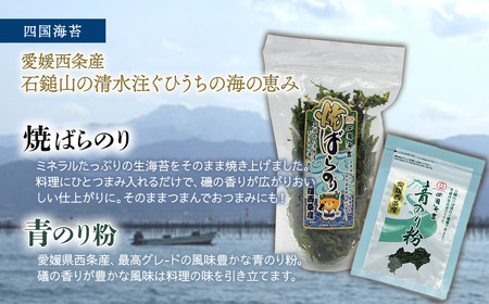 ～西条づくし家呑みシリーズ～　クラフトビール×四国海苔セット 【ビール8本+海苔3種】　グランドタップ 