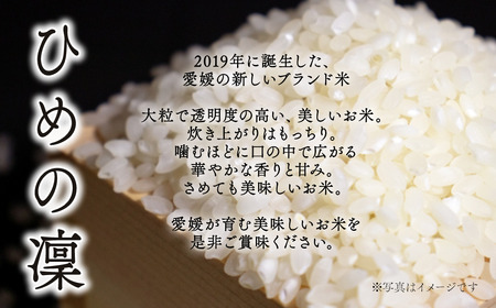 新米】 令和6年産 周桑庄内米 「ひめの凜 5㎏ 」 愛媛県