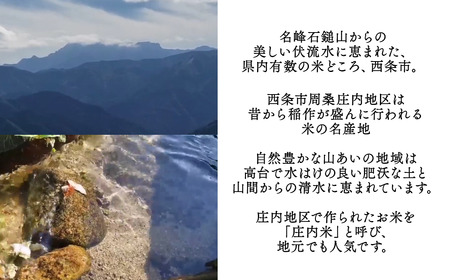 【新米】ひめの凜 5kg 新米 愛媛県ブランド米【令和7年産】