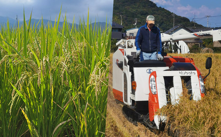 【新米】ひめの凜 5kg 新米 愛媛県ブランド米【令和7年産】