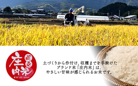 【新米】ひめの凜 10kg 新米 愛媛県ブランド米【令和7年産】