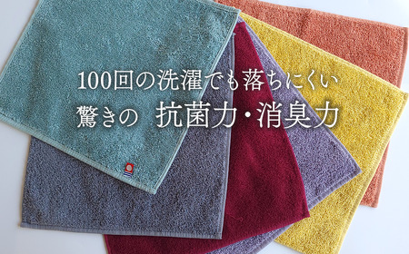今治タオルブランド認定品　天然由来の抗菌「柿渋染め 古来の彩（いろ）」タオルハンカチ 6枚
