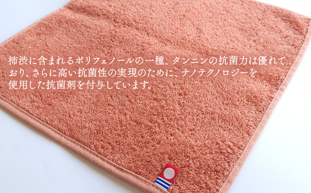今治タオルブランド認定品　天然由来の抗菌「柿渋染め 古来の彩（いろ）」タオルハンカチ 6枚