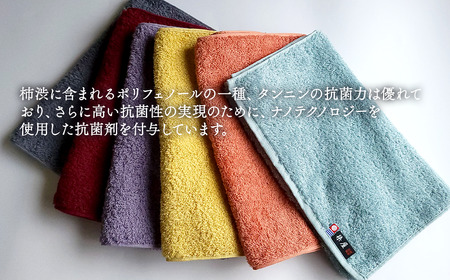 今治タオルブランド認定品　天然由来の抗菌「柿渋染め 古来の彩（いろ）」フェイスタオル 2枚（カラー 選択可）