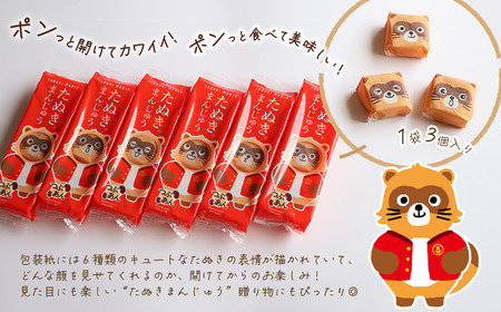 西条銘菓「たぬきまんじゅう」つぶあん プレーン 18個入| 和菓子 饅頭 個包装