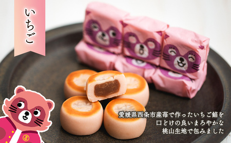 西条銘菓「たぬきまんじゅう」3種アソート 30個入 化粧箱 つぶあん いちご 抹茶 和菓子