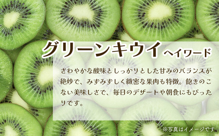 【先行予約】グリーンキウイ 10~12玉入【2026年1月~2月発送】ヘイワード キウイ 愛媛県 西条市