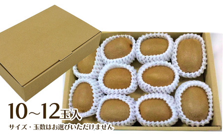 【先行予約】グリーンキウイ 10~12玉入【2026年1月~2月発送】ヘイワード キウイ 愛媛県 西条市