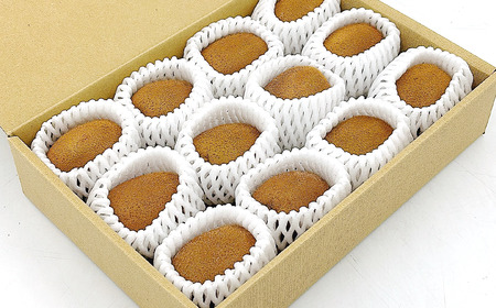 【先行予約】グリーンキウイ 10~12玉入【2026年1月~2月発送】ヘイワード キウイ 愛媛県 西条市