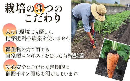 人参ジュース「ザ・人参」150gパウチ×10個セット｜ にんじんジュース 無農薬