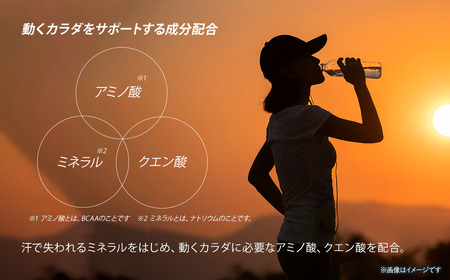 【3回定期便】 アクエリアス 500mlPET_24本入り 1ケース｜ スポーツドリンク 水分補給 熱中症対策 アクエリ