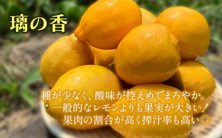 有機レモン 璃の香 2㎏【11月下旬～1月発送】レモン オーガニック 国産 愛媛県 西条市