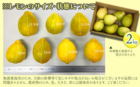 有機レモン 璃の香 2㎏【11月下旬～1月発送】レモン オーガニック 国産 愛媛県 西条市