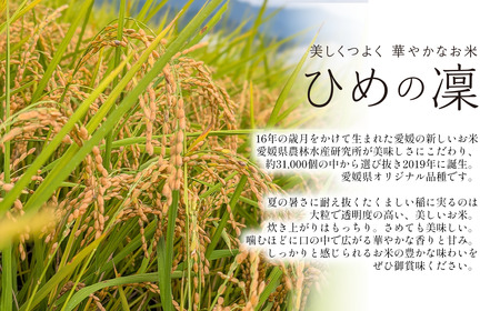 お米 ひめの凜 プレミアムクオリティ 5kg 愛媛県ブランド米【令和7年産・JA周桑】