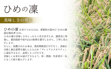 お米 ひめの凜 プレミアムクオリティ 5kg 愛媛県ブランド米【令和7年産・JA周桑】