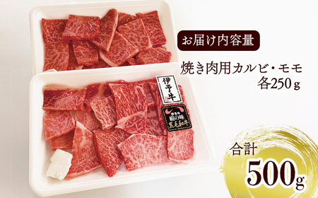 伊予牛絹の味 焼肉用 カルビ・モモ 500g (冷凍)｜ 黒毛和牛 A4～A5