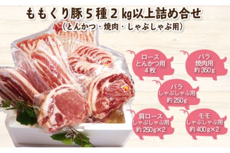 ももくり豚セット（とんかつ・焼肉・しゃぶしゃぶ用）5種約2.4㎏