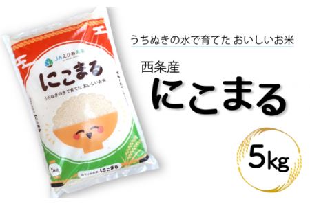米 にこまる 5kg 精米 愛媛県西条市産【令和7年産】