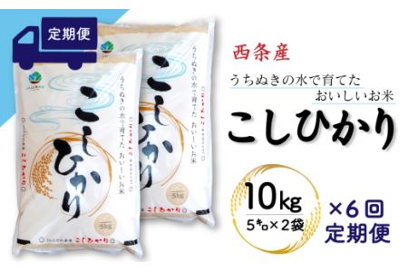 【定期便6ヶ月】西条産のお米「コシヒカリ」（10kg） 令和5年産