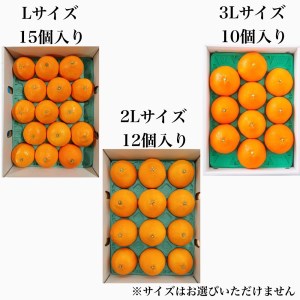 【先行予約】 紅まどんな （JA東予園芸） 青秀 10～15個入 3L～Lサイズ 約3kg　※2024年11月下旬～12月下旬頃発送　紅まどんな 柑橘 愛媛県オリジナル品種