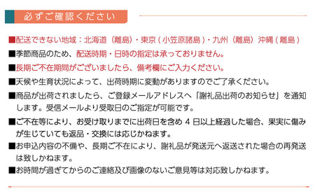 【先行予約】 紅まどんな （JA東予園芸） 青秀 10～15個入 3L～Lサイズ 約3kg　※2024年11月下旬～12月下旬頃発送　紅まどんな 柑橘 愛媛県オリジナル品種