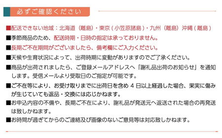 【先行予約】 愛媛県西条市産 レインボーレッドキウイと紅まどんなのセット　※2024年11月下旬～12月下旬頃発送　紅まどんな 柑橘 レインボーレッド キウイ 食べ比べ 詰め合わせ セット