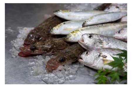 ［年4回定期便］高級おつまみセットBコース｜ 練り物 魚介 かまぼこ