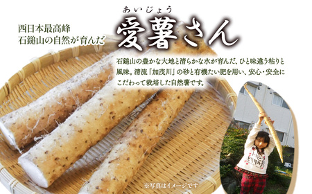 自然薯1㎏ 真空パック 【12月上旬~3月発送】自然薯 とろろ 山芋