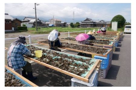 まぼろしの後発酵茶「石鎚黒茶」ティーパック10包入り×２袋