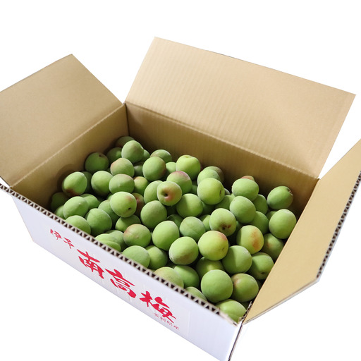 【2026年6月上旬以降発送】伊予南高梅(青梅) 約5kg〈2L～4Lサイズ〉