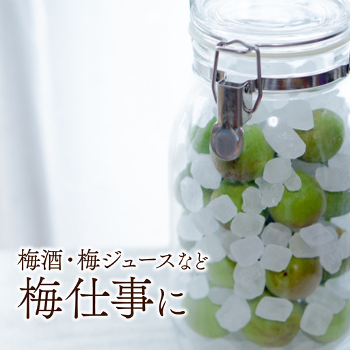 【2026年6月上旬以降発送】伊予南高梅(青梅) 約5kg〈2L～4Lサイズ〉