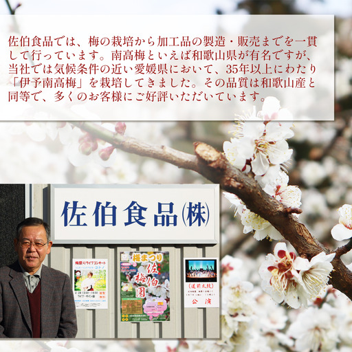 【2026年6月上旬以降発送】伊予南高梅(青梅) 約5kg〈2L～4Lサイズ〉