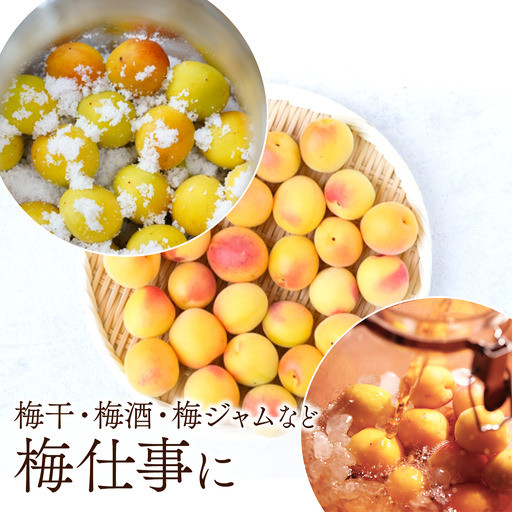 【2026年6月下旬以降発送】伊予南高梅(木成り完熟梅) 約5kg〈2L～4Lサイズ〉