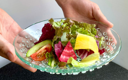 「フリット楕円浅鉢（S）」｜ お皿 ガラス製品 ミラーズウサ