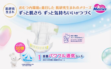 ［全3回定期便］ メリーズ ずっと肌さらエアスルー 【テープタイプ】　Sサイズ（62枚入り）×4パック ｜オムツ  紙おむつ ベビー用品