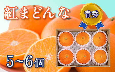 【先行予約】 紅まどんな ＜青秀＞ 5～6個入（JA東予園芸またはJA周桑）　※2024年11月下旬～12月下旬頃発送　紅まどんな 柑橘 愛媛県オリジナル品種