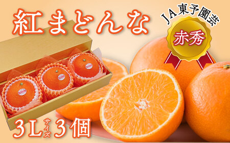 【先行予約】 紅まどんな ＜赤秀＞ 3Lサイズ３個入り（JA東予園芸）　※2024年11月下旬～12月下旬頃発送　紅まどんな 柑橘 愛媛県オリジナル品種