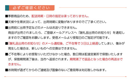 干し柿用渋柿 「愛媛県産あたご柿」 約10㎏ 西条市 やまちゃんふぁーむ 低農薬 除草剤不使用 干し柿 柿 【オンライン決済限定】