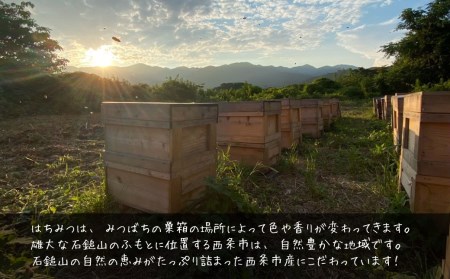 愛媛県西条市産　国産クルミのはちみつ漬け（１個）