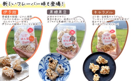 米作り農家の手作り菓子「ぱん豆詰め合わせ お試し5個セット」パン豆 ポン菓子 てんさい糖