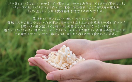 米作り農家の手作り菓子「ぱん豆詰め合わせ たっぷり8個セット」パン豆 ポン菓子 てんさい糖