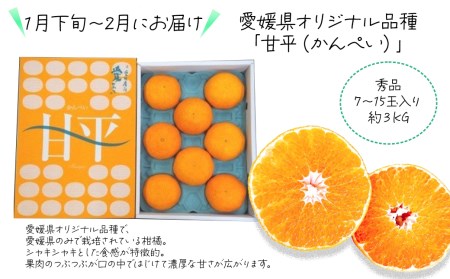 【先行予約】えひめ西条 JA東予園芸の「かんきつ定期便（全４回）」紅まどんな 甘平 アンコール デコポン【オンライン決済限定】