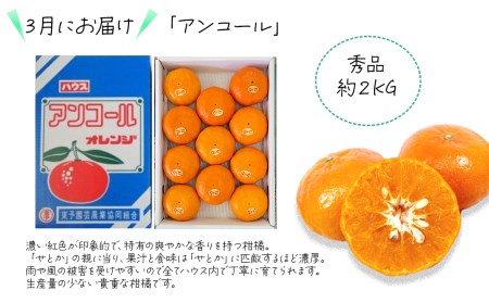 【先行予約】えひめ西条 JA東予園芸の「かんきつ定期便（全４回）」紅まどんな 甘平 アンコール デコポン【オンライン決済限定】