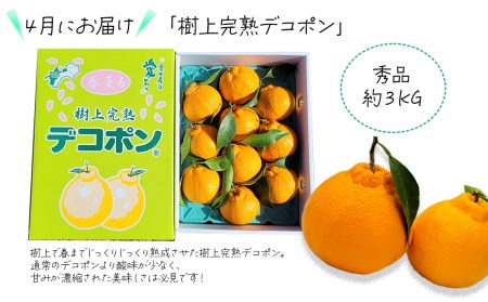 【先行予約】えひめ西条 JA東予園芸の「かんきつ定期便（全４回）」紅まどんな 甘平 アンコール デコポン【オンライン決済限定】