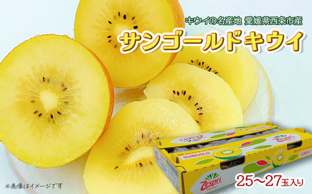 サンゴールドキウイ(25~27玉)2025年11月下旬~12月下旬頃発送|キウイ フルーツ