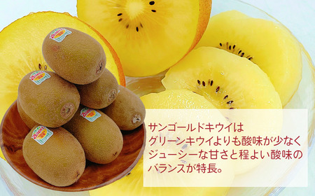 サンゴールドキウイ(25~27玉)2025年11月下旬~12月下旬頃発送|キウイ フルーツ