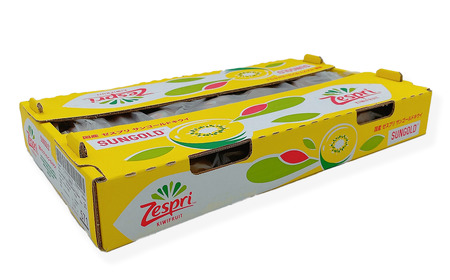 サンゴールドキウイ(25~27玉)2025年11月下旬~12月下旬頃発送|キウイ フルーツ