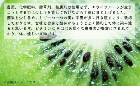 【先行予約】愛媛県西条産_新居田さんちのキウイフルーツ 約2㎏(15~20個入り)2025年11月中旬~2026年1月発送| 農薬不使用