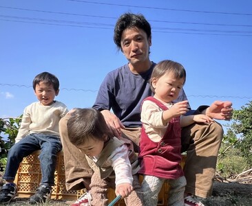 【先行予約】愛媛県西条産_新居田さんちのキウイフルーツ 約2㎏(15~20個入り)2025年11月中旬~2026年1月発送| 農薬不使用